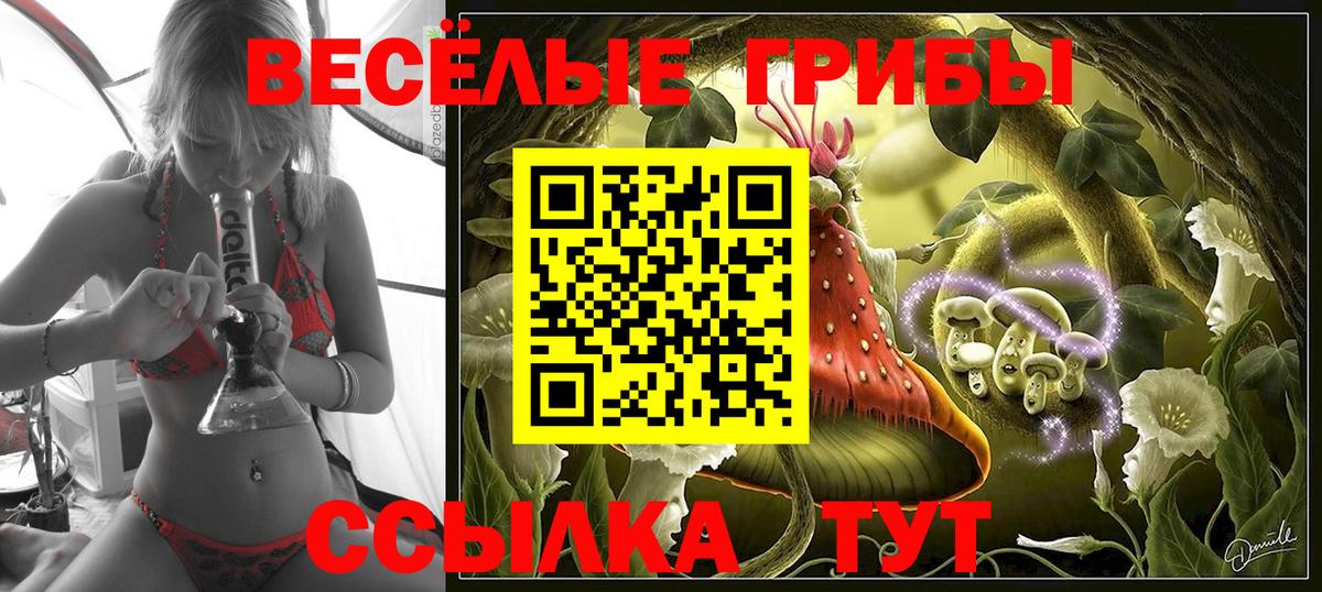 Галлюциногенные грибы Psilocybine cubensis Борисоглебск