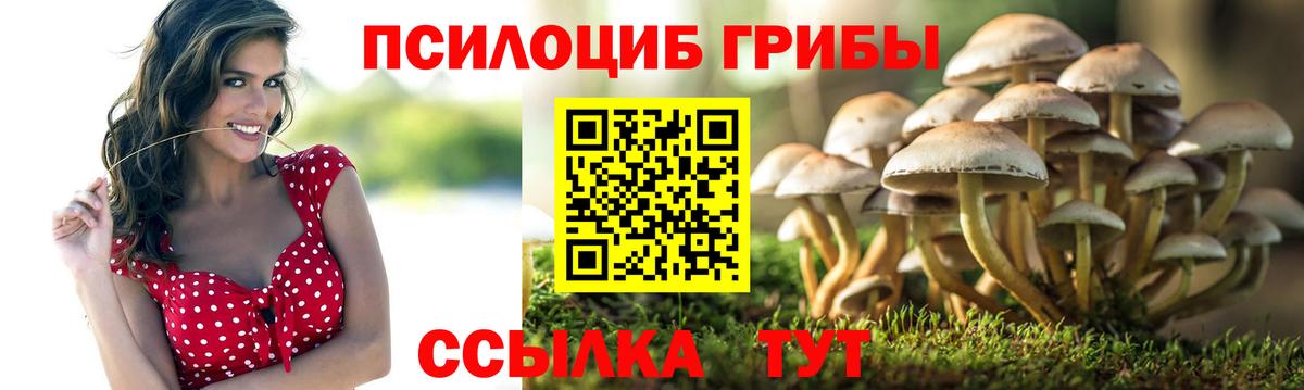 Борисоглебск  Галлюциногенные грибы Magic Shrooms  Вход с VPN 